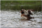 Allez au bain!