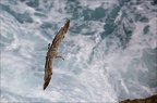 La mer vue d'oiseau