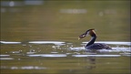 Retour de pêche