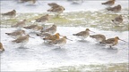 sous la pluie (3754 visits) sous la pluie