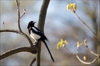  LUN4645