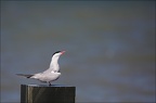  LUN6689