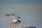  LUN6709