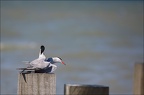  LUN6713