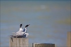  LUN6715