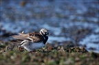  LUN6893