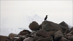  LUN9846-w