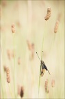 Ô fil des saisons
