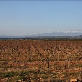 Paysages