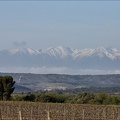 Paysages 01-04-21 002