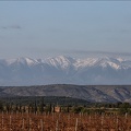 Paysages 04-04-21 009