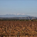 Paysages 04-04-21 012