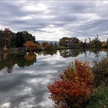 Jardin du bois Marquis_19-11-23_13.jpg