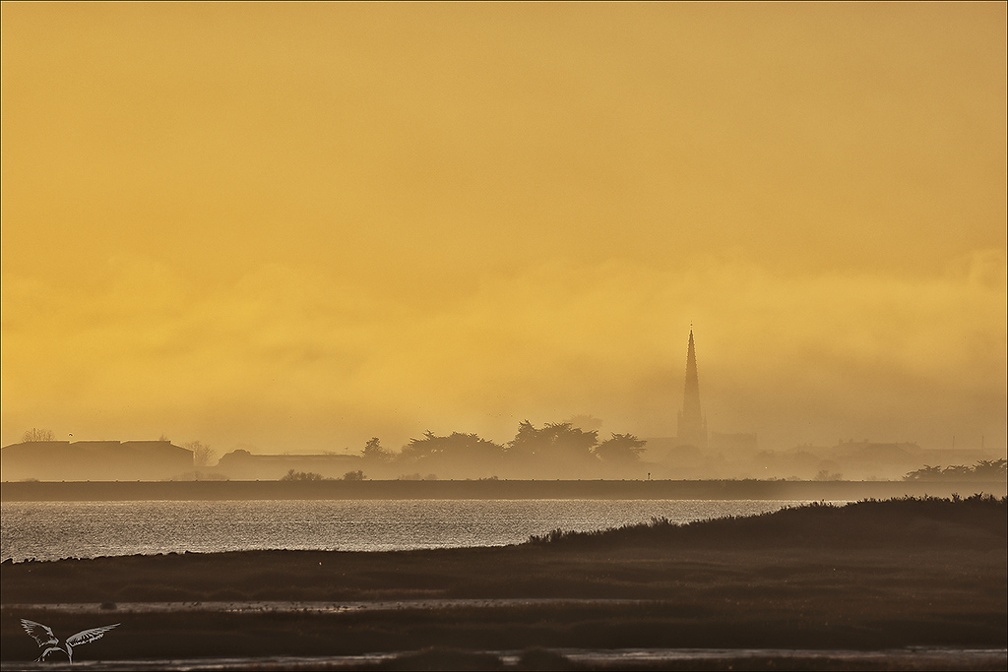 Brouillard Fier d'Ars 16-12-23 01-contraste