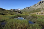 Tourbière reflets 11.07.25-0001