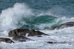 Ile Grande 15-03-26 01 (1272 visits) Ile Grande 15-03-26 01