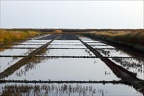 Marais d'Ars  28-05-26 02