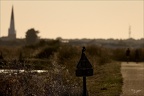 Pie Ars 25-05-26 01